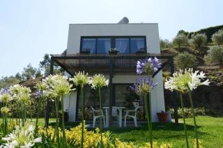 Casa dos Becos - Riba Douro - 9
