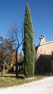 Agriturismo il Bacucco - Montecarotto - 1