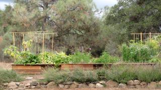 Yosemite Rose Bed and Breakfast - Groveland - 1