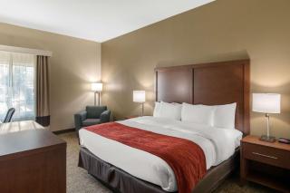 Comfort Inn & Suites Cedar Hill Duncanville - Cedar Hill - 5