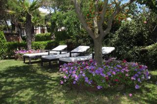 Hotel Viña del Mar Pineta - Lido di Jesolo - 3