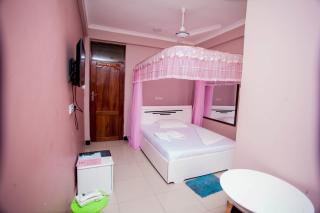B10 Airport Lodge - Daressalam - 3
