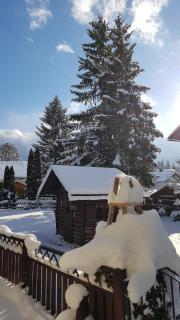 Haus Gabriele - Bad Mitterndorf - 5