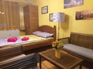 Apartament Sonia - Bucharest - 3