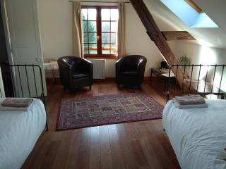 Chambre d'Hôtes Le Moulin des Landes - Vernou-sur-Brenne - 7