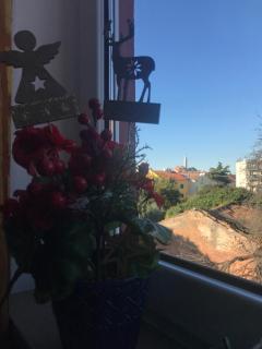 Apartman Bajo - Rovinj - 8