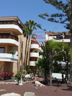 Apartamento Kassir - San Miguel de Abona - 9
