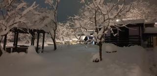 Apartmani Janković - 3