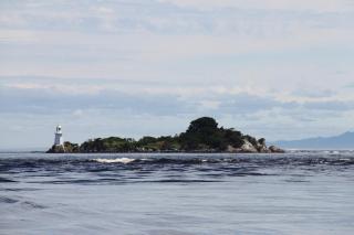 Aloft Boutique Accommodation - 1