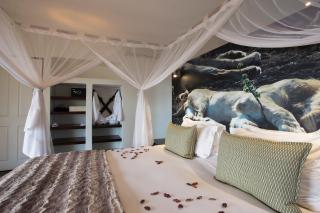 isiLimela Game Lodge - Hoedspruit - 9