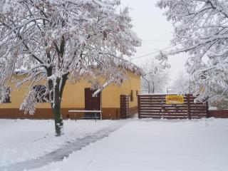 Hársfák - Mezőkovácsháza - 1