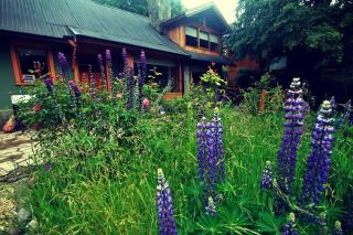 Casa La Veleta - San Martín de los Andes - 7