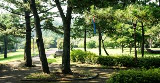 Bowhill Resort & Pension - Seogwipo - 2