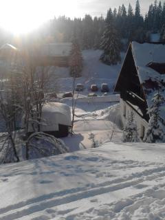 Pension Arnika - Modrava - 2