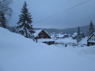 Pension Arnika - Modrava - 3