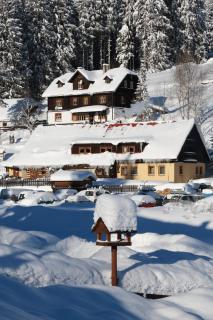 Pension Arnika - Modrava - 9