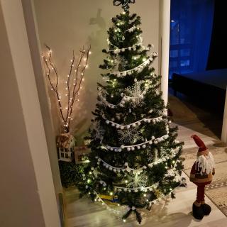 Apartament Kalinderu K2 Busteni - 1