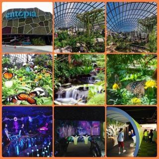 M's Place Chalet Bed&Breakfast - 2