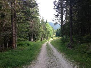 Beau Site - Villard-de-Lans - 8
