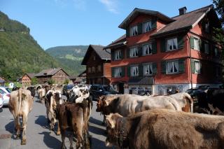 Alps Romantik - Mellau - 8