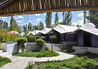 Tiger Camp Nubra - Valle di Nubra - 5