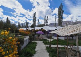 Tiger Camp Nubra - Valle di Nubra - 2