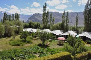 Tiger Camp Nubra - Valle di Nubra - 8