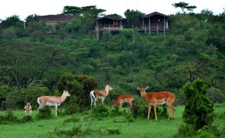 Saruni Eagle View - Naboisho - 2