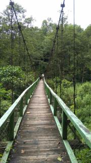 Vamoose Bhutia Homestay - Padamchen - 0