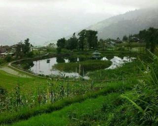 Vamoose Bhutia Homestay - Padamchen - 1