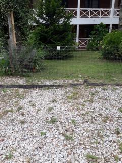 Complejo Playa Palace The Residence - Costa del Este - 1