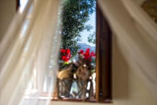 Agriturismo Palazzo Conti A - Pienza - 6