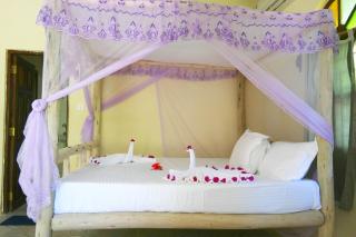 Blue Earth Beach Bungalow - Jambiani - 6