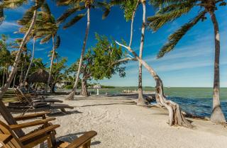 La Jolla Resort - Islamorada - 7