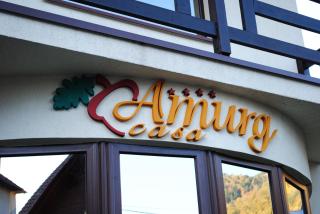 Casa Amurg - Sinaia - 6
