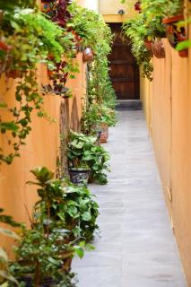 Casa Maricela B&B - San Miguel de Allende - 5