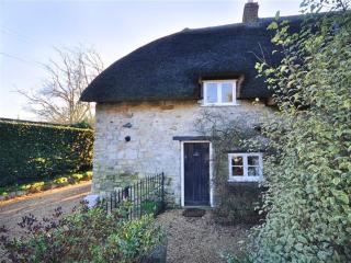 Little Ivy - West Lulworth - 0