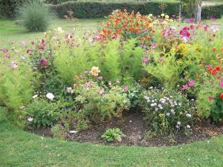 Grazeland Cottage - Bridport - 8