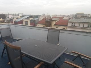 Big Flat in the centre city Prague with terrace - Prag - 9