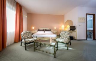 Hotel Des Alpes - Rosta - 2