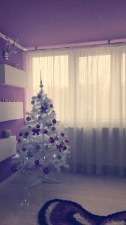 Apartament 2 camere - 9