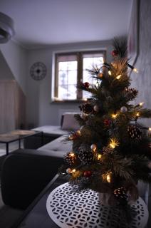 Apartament Lesne Wzgorze - Szklarska Poręba - 2