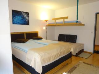 Appartement Schwarzenbacher - Kaprun - 0