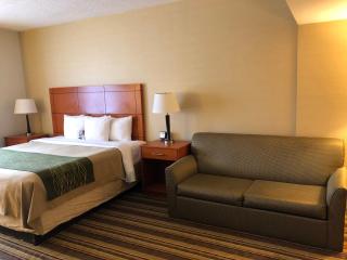 Comfort Inn Metro Airport - 6