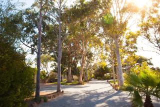 Modra's Apartments - Tumby Bay - 5