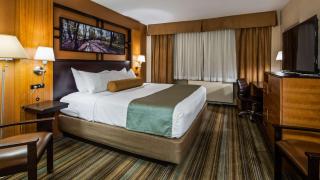 Best Western Queens Gold Coast - Queens - 3