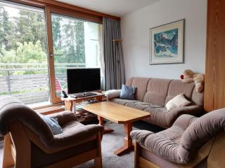 Gepflegte Ferienwohnung mit traumhafter Aussicht, fußläufig in Davos - 8