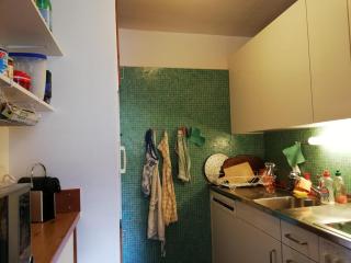 Gepflegte Ferienwohnung mit traumhafter Aussicht, fußläufig in Davos - 6