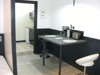 studio vic 2.0 - Vic-sur-Cère - 0