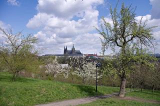 Park View - a digital Nomad's dream - Praga - 2